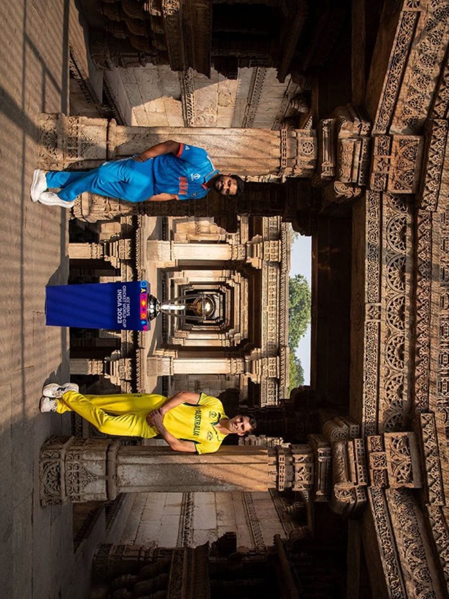 Adalaj Stepwell detail 14